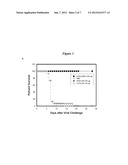 LINEAR EXPRESSION CASSETTE VACCINES diagram and image