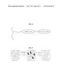 METHOD OF FABRICATING PATTERNED RETARDER diagram and image