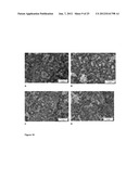 MONODISPERSE SUBMICRON POLYMER PARTICLES diagram and image