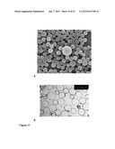 MONODISPERSE SUBMICRON POLYMER PARTICLES diagram and image