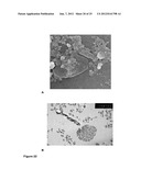 MONODISPERSE SUBMICRON POLYMER PARTICLES diagram and image