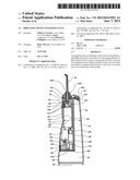 IRRIGATING DEVICE WITH REED VALVE diagram and image