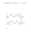 METHOD FOR DETECTING VIABLE CELLS IN A SAMPLE BY USING A VIRUS diagram and image