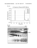 REAL-TIME MONITORING OF DEPLETION OF HIGH-ABUNDANCE BLOOD PROTEINS OR     RECOVERY OF LOW-ABUNDANCE BLOOD PROTEINS BY UV SPECTROMETRY diagram and image