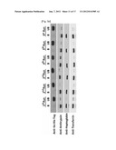 REAL-TIME MONITORING OF DEPLETION OF HIGH-ABUNDANCE BLOOD PROTEINS OR     RECOVERY OF LOW-ABUNDANCE BLOOD PROTEINS BY UV SPECTROMETRY diagram and image