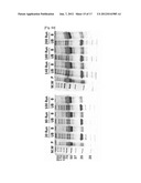 REAL-TIME MONITORING OF DEPLETION OF HIGH-ABUNDANCE BLOOD PROTEINS OR     RECOVERY OF LOW-ABUNDANCE BLOOD PROTEINS BY UV SPECTROMETRY diagram and image