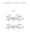 Multivalent substrate elements for detection of nucleic acid sequences diagram and image