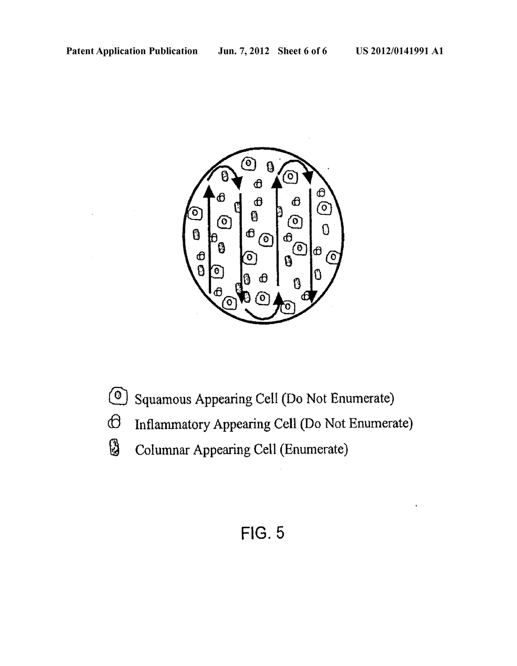 METHODS AND PROBES FOR DETECTING ESOPHAGEAL CANCER - diagram, schematic, and image 07