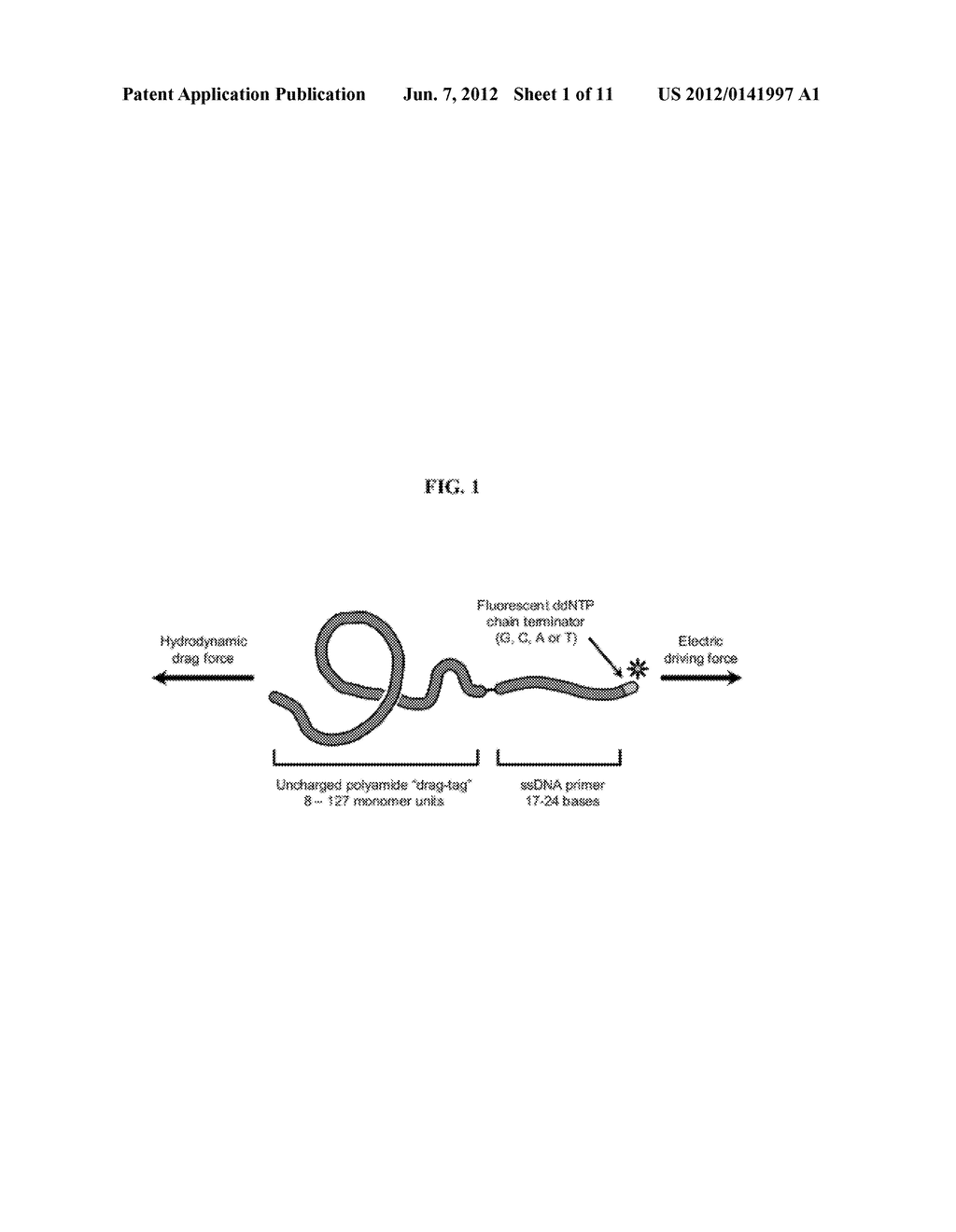 Compositions And Methods For Free-Solution Conjugate Nucleic Acid Analysis - diagram, schematic, and image 02