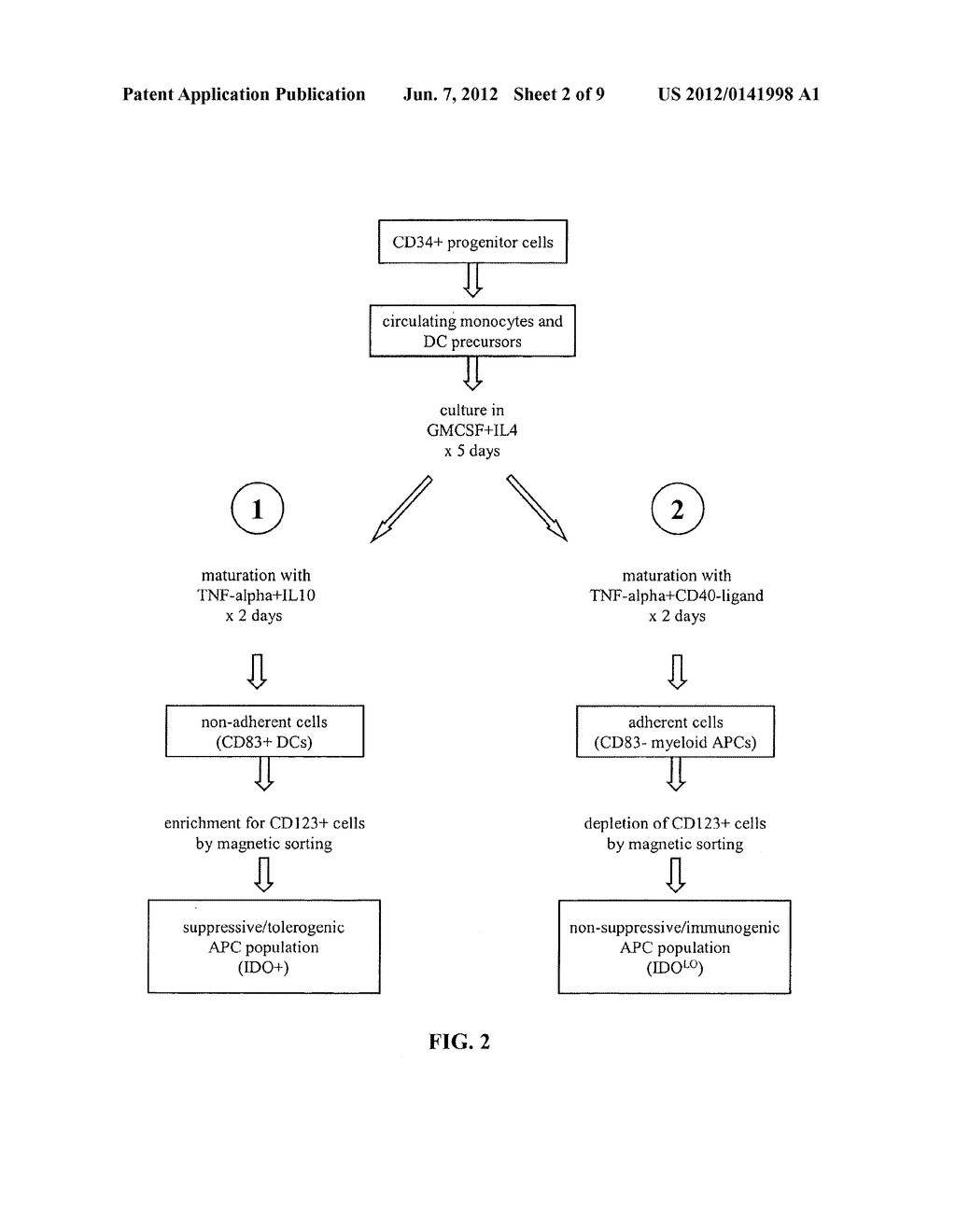 ANTIGEN-PRESENTING CELL POPULATIONS AND THEIR USE AS REAGENTS FOR     ENHANCING OR REDUCING IMMUNE TOLERANCE - diagram, schematic, and image 03