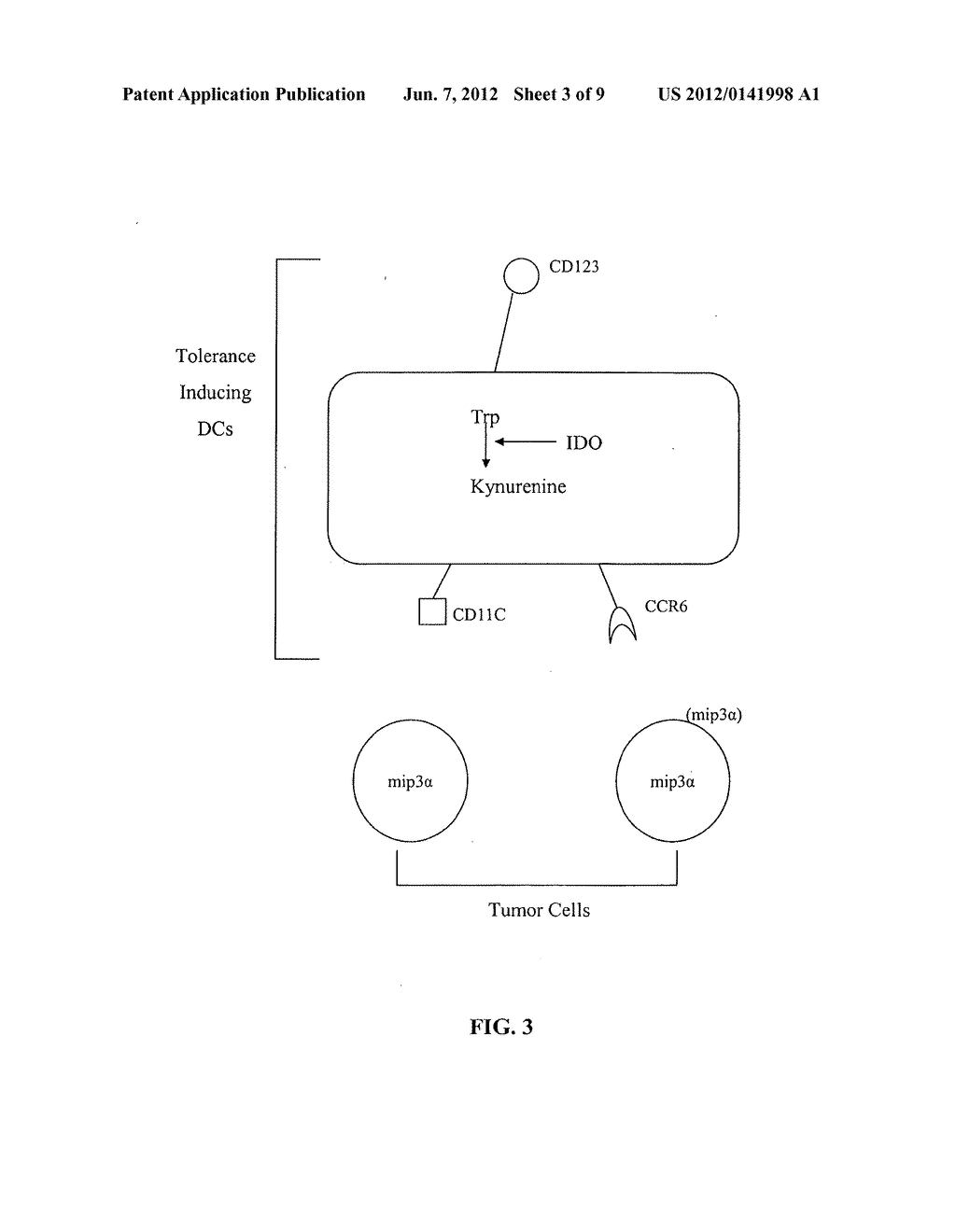 ANTIGEN-PRESENTING CELL POPULATIONS AND THEIR USE AS REAGENTS FOR     ENHANCING OR REDUCING IMMUNE TOLERANCE - diagram, schematic, and image 04