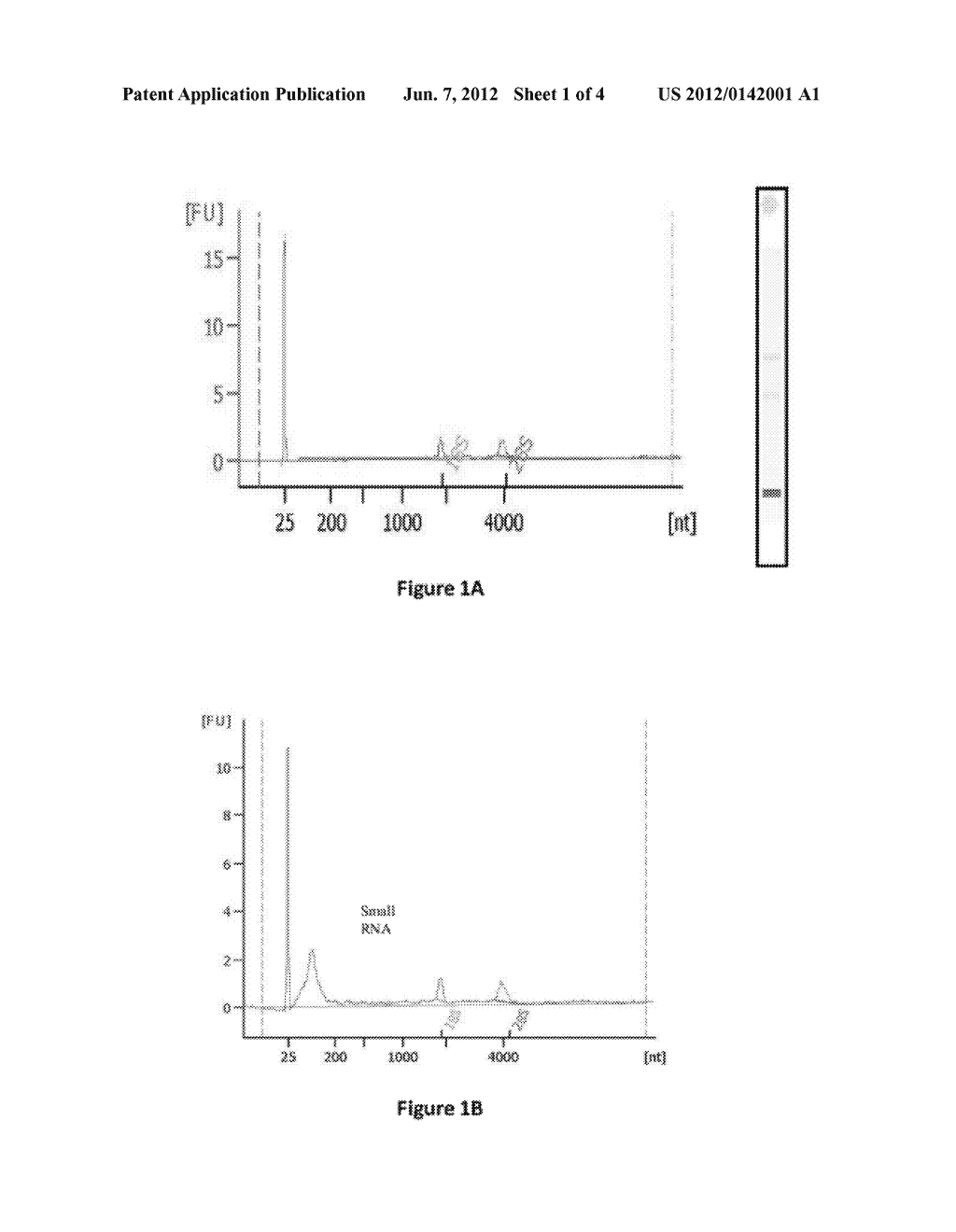 METHOD FOR ISOLATION OF NUCLEIC ACID CONTAINING PARTICLES AND EXTRACTION     OF NUCLEIC ACIDS THEREFROM - diagram, schematic, and image 02