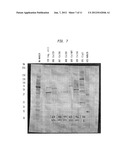 Yeast Cells Expressing An Exogenous Cellulosome And Methods of Using The     Same diagram and image