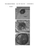 INTERPENETRATING BIOMATERIAL MATRICES AND USES THEREOF diagram and image