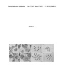 INTERPENETRATING BIOMATERIAL MATRICES AND USES THEREOF diagram and image