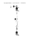 Antibodies Against Human Angiopoietin 2 diagram and image