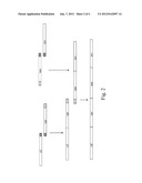 FUSION PROTEINS OF HIV REGULATORY/ACCESSORY PROTEINS diagram and image