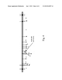 FUSION PROTEINS OF HIV REGULATORY/ACCESSORY PROTEINS diagram and image