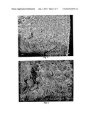 POLYSACCHARIDE-INORGANIC COMPOSITE PARTICLES AS PERFORMANCE ADDITIVES FOR     SUPER-ABSORBENT POLYMERS diagram and image