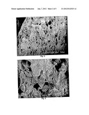 POLYSACCHARIDE-INORGANIC COMPOSITE PARTICLES AS PERFORMANCE ADDITIVES FOR     SUPER-ABSORBENT POLYMERS diagram and image