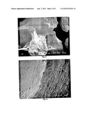 POLYSACCHARIDE-INORGANIC COMPOSITE PARTICLES AS PERFORMANCE ADDITIVES FOR     SUPER-ABSORBENT POLYMERS diagram and image