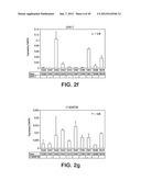 HYPOMETHYLATED GENES IN CANCER diagram and image