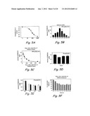 Analogs of ShK Toxin and their Uses in Selective Inhibition of Kv1.3     Potassium Channels diagram and image