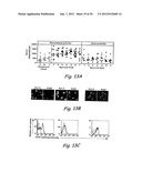 Analogs of ShK Toxin and their Uses in Selective Inhibition of Kv1.3     Potassium Channels diagram and image