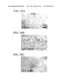 METHODS RELATED TO THE TREATMENT OF NEURODEGENERATIVE AND INFLAMMATORY     CONDITIONS diagram and image