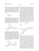 NOVEL GLUCOKINASE ACTIVATORS AND METHODS OF USING SAME diagram and image