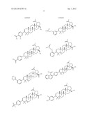 MODIFIED C-3 BETULINIC ACID DERIVATIVES AS HIV MATURATION INHIBITORS diagram and image