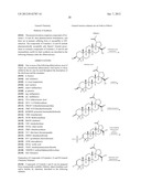 MODIFIED C-3 BETULINIC ACID DERIVATIVES AS HIV MATURATION INHIBITORS diagram and image