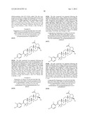 MODIFIED C-3 BETULINIC ACID DERIVATIVES AS HIV MATURATION INHIBITORS diagram and image