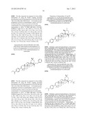 MODIFIED C-3 BETULINIC ACID DERIVATIVES AS HIV MATURATION INHIBITORS diagram and image