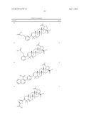 MODIFIED C-3 BETULINIC ACID DERIVATIVES AS HIV MATURATION INHIBITORS diagram and image