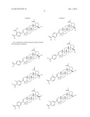 MODIFIED C-3 BETULINIC ACID DERIVATIVES AS HIV MATURATION INHIBITORS diagram and image