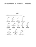 Phenylethanoic Acid, Phenylpropanoic Acid and Phenylpropenoic Acid     Conjugates and Prodrugs of Hydrocodone, Methods of Making and Use Thereof diagram and image