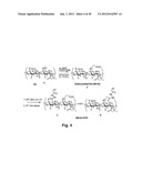 MODIFIED MACROMOLECULES AND ASSOCIATED METHODS OF SYNTHESIS AND USE diagram and image