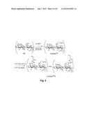 MODIFIED MACROMOLECULES AND ASSOCIATED METHODS OF SYNTHESIS AND USE diagram and image