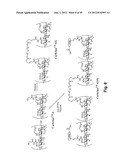 MODIFIED MACROMOLECULES AND ASSOCIATED METHODS OF SYNTHESIS AND USE diagram and image