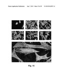 MODIFIED MACROMOLECULES AND ASSOCIATED METHODS OF SYNTHESIS AND USE diagram and image