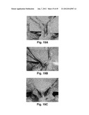 MODIFIED MACROMOLECULES AND ASSOCIATED METHODS OF SYNTHESIS AND USE diagram and image