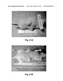 MODIFIED MACROMOLECULES AND ASSOCIATED METHODS OF SYNTHESIS AND USE diagram and image