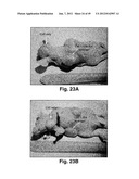 MODIFIED MACROMOLECULES AND ASSOCIATED METHODS OF SYNTHESIS AND USE diagram and image