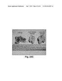 MODIFIED MACROMOLECULES AND ASSOCIATED METHODS OF SYNTHESIS AND USE diagram and image