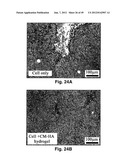 MODIFIED MACROMOLECULES AND ASSOCIATED METHODS OF SYNTHESIS AND USE diagram and image