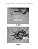 MODIFIED MACROMOLECULES AND ASSOCIATED METHODS OF SYNTHESIS AND USE diagram and image