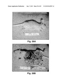 MODIFIED MACROMOLECULES AND ASSOCIATED METHODS OF SYNTHESIS AND USE diagram and image