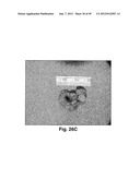 MODIFIED MACROMOLECULES AND ASSOCIATED METHODS OF SYNTHESIS AND USE diagram and image