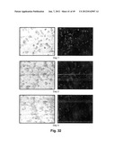 MODIFIED MACROMOLECULES AND ASSOCIATED METHODS OF SYNTHESIS AND USE diagram and image